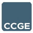 Formation CCGE, Certified Corporate Governance Expert. Préparation À La Certification